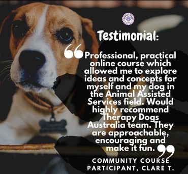 therapy dog course review