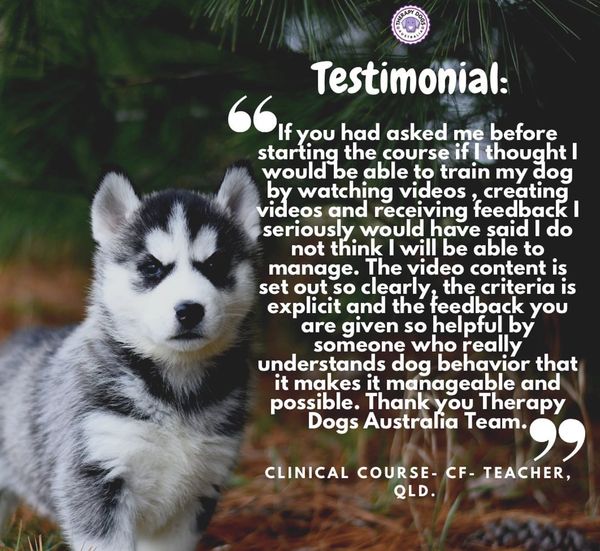 therapy dog training course review