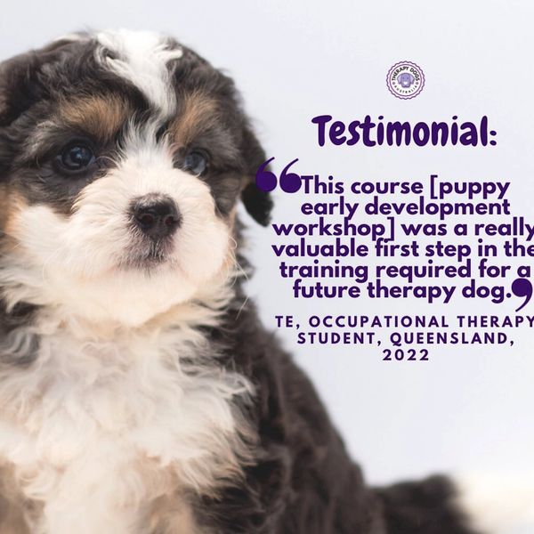 therapy dog puppy training review