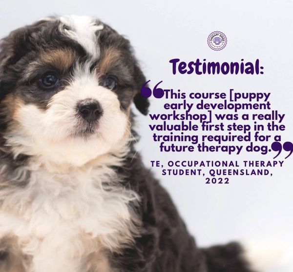 therapy dog puppy training review