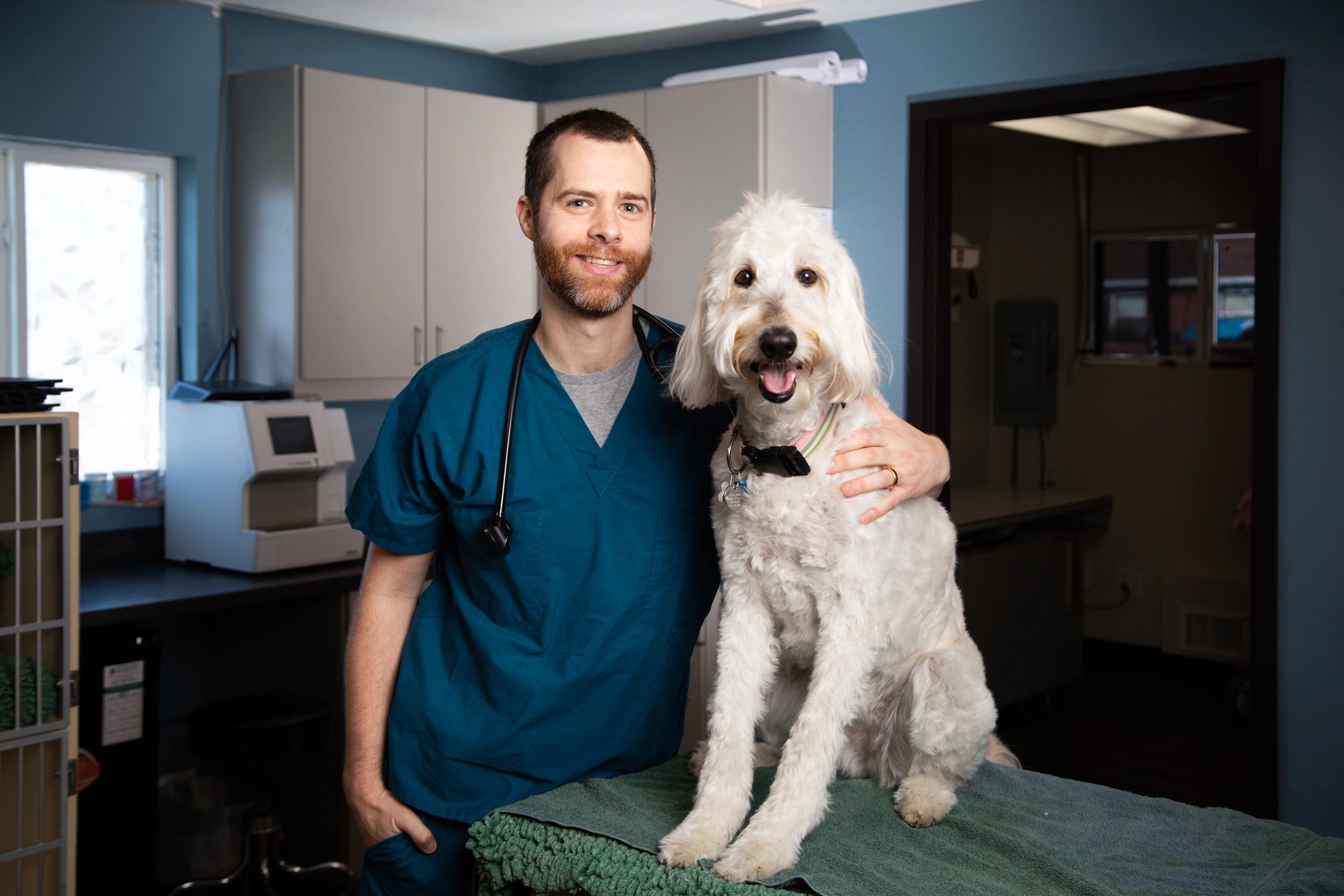 Dr robb veterinarian 2025