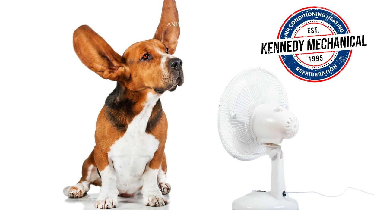 Air conditioner repair, Demotte Indiana
Air conditioner service
