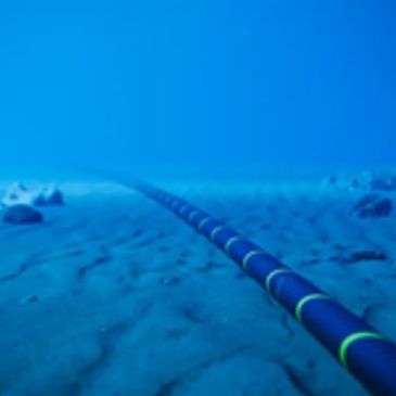 Underwater cable lying on the ocean floor.