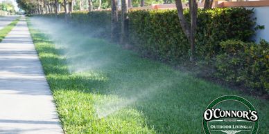 Sprinklers watering a lush green lawn beside a sidewalk.