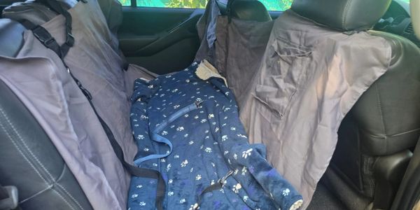 Pet seat covers and a blue pet blanket on a car's back seat.