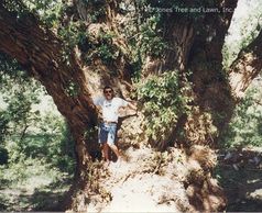 "Co-Owner and founder, Kevin Jones stands on the trunk of the World Record Champion Cottonwood tree.