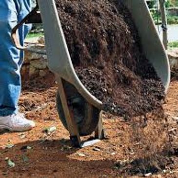 company to plant trees
