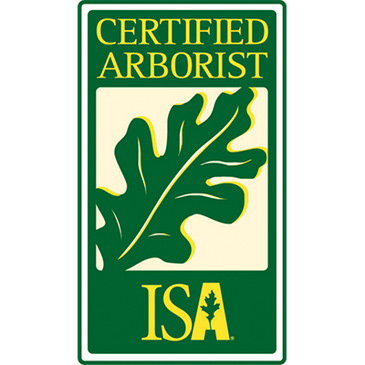 Certified, Arborists,  