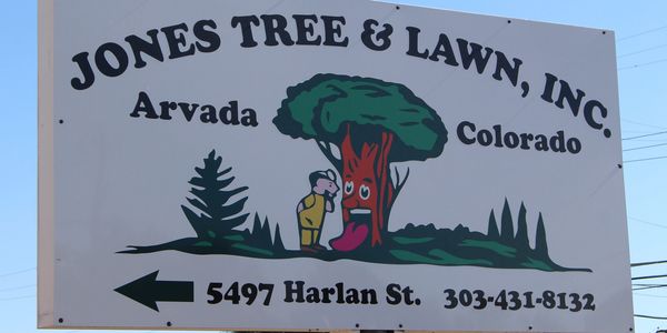 local tree lawn care