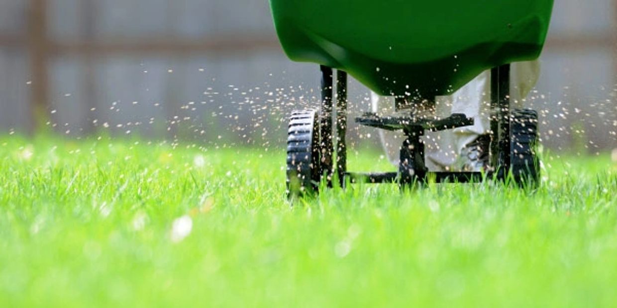 Lawn Fertilization services