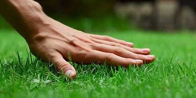 Lawn care jobs