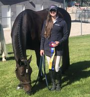 Another excellent performance
Champions Tori Witworth and Carpricco