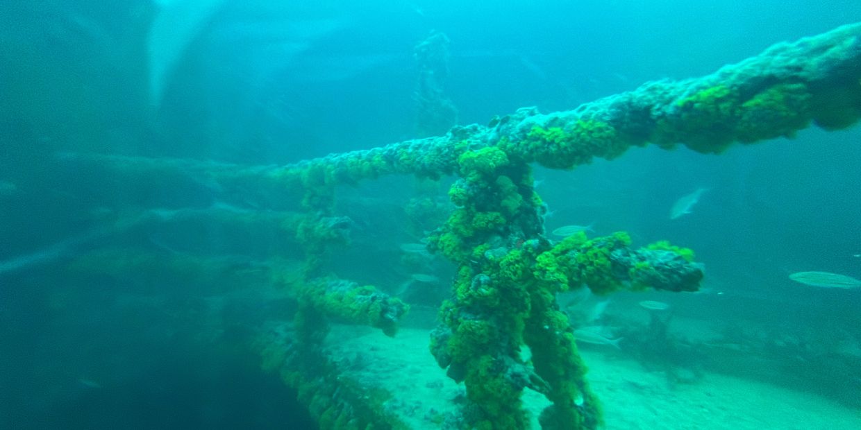 underwater shipwreck with coral growing on it