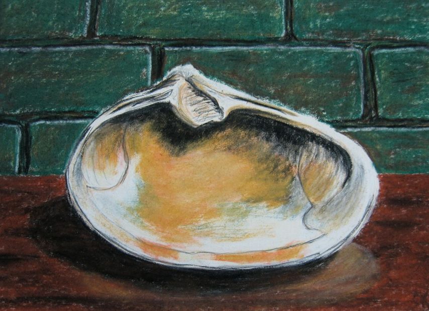 Clamshell, Pastel