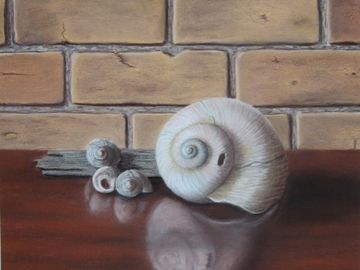 Seashells and Driftwood, Pastel