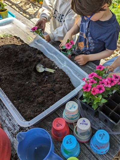 Decorating and planting pots at Garden Camp, summer 2023.