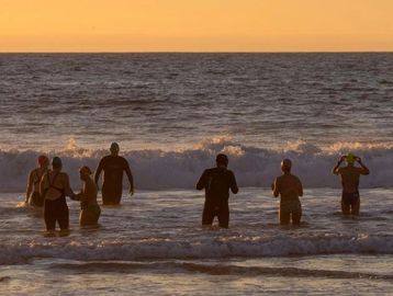 Group of sea swimmers entering the water at sunrise