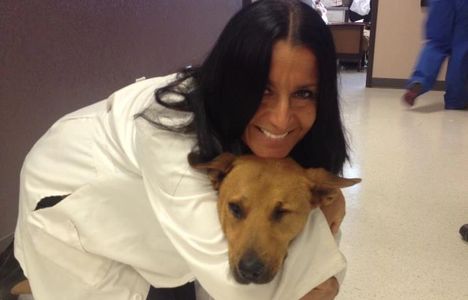 Hanna, left to die on the side of the road, fully recovered stopped by for a hug