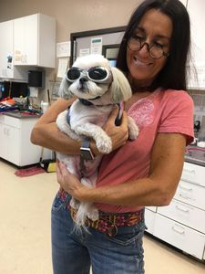 Laser therapy for skin conditions, ear infections, arthritis, pain, wounds, etc. Shiloh digs it.