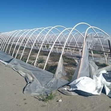 High Desert Cleanouts has done 100s of illegal marijuana grow encampments! No job is to large!