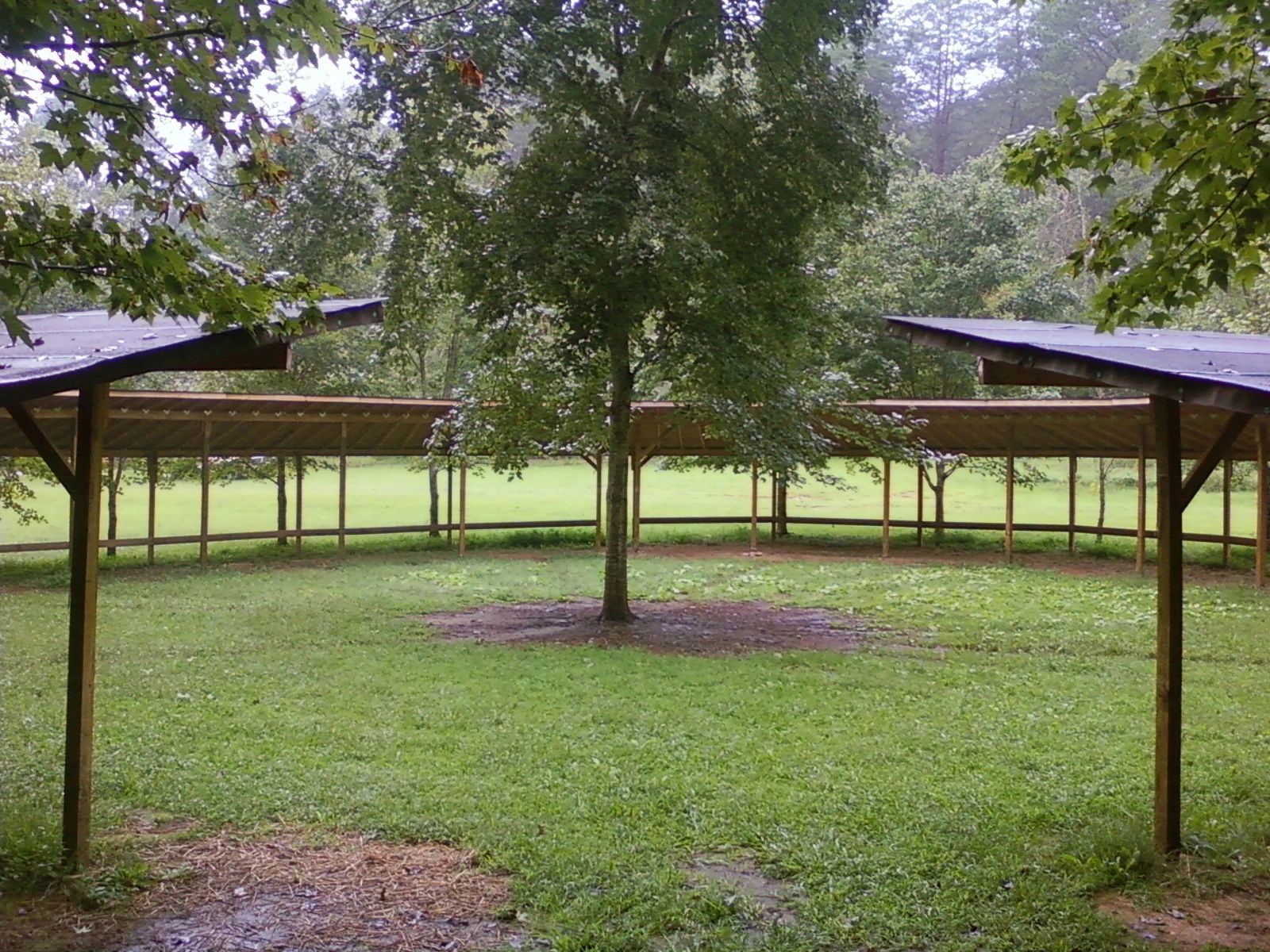 Dance Arbor 2010