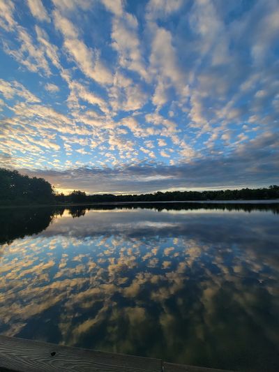 Sunrise peeking from behind dark trees and a bright blue, cloud riddled sky.