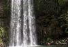 Atherton Tablelands: Milla Millaa Falls