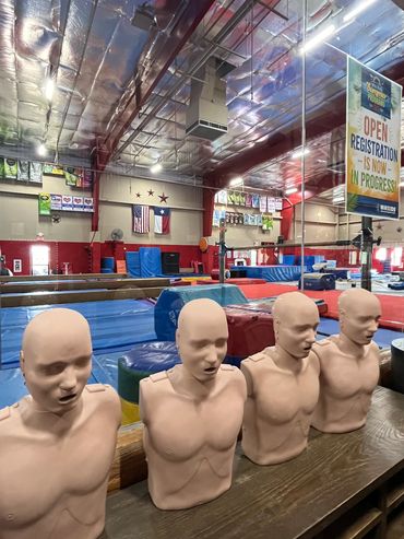 CPR training mannequins lined up inside a gymnastics gym.