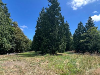 Location of coming soon turnouts