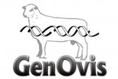 Click on image to view GenOvis Website
