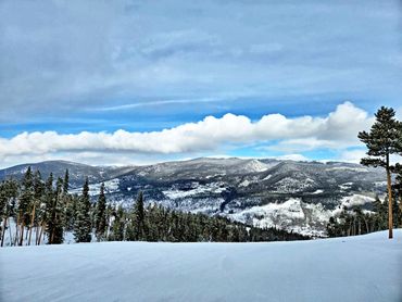 Snow-covered mountains with pine trees under a cloudy blue sky.
