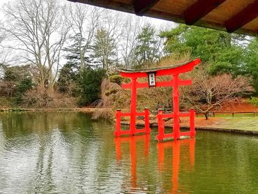 A vibrant red torii gate stands in a peaceful pond surrounded by trees and greenery.