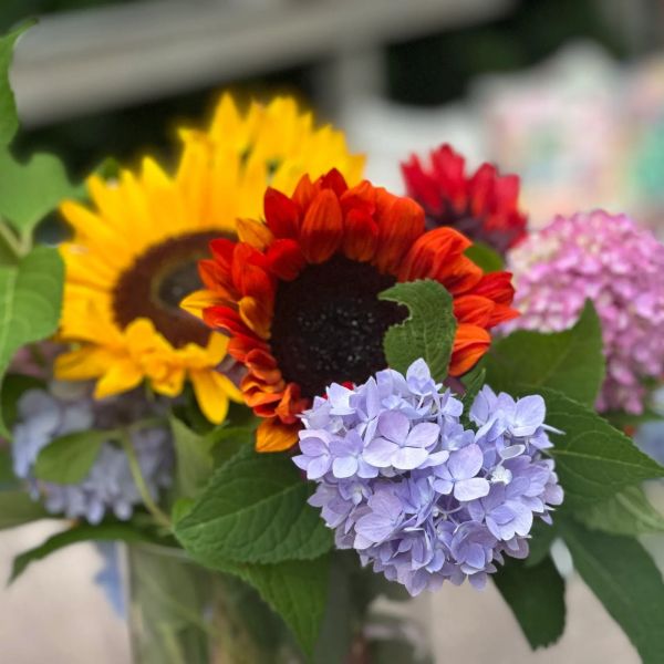 A vibrant bouquet with sunflowers, red-orange flowers, and purple hydrangeas.