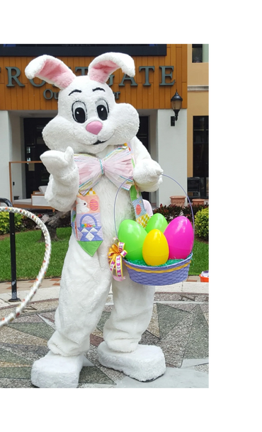 Easter Bunny Character Meet and Greet