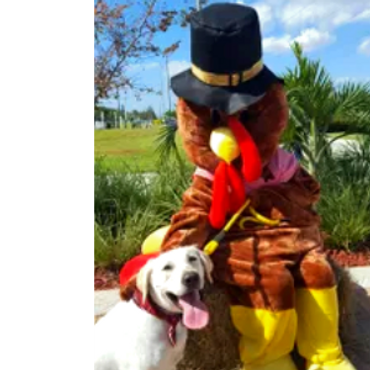 Fall / Thanksgiving Character Meet & Greet