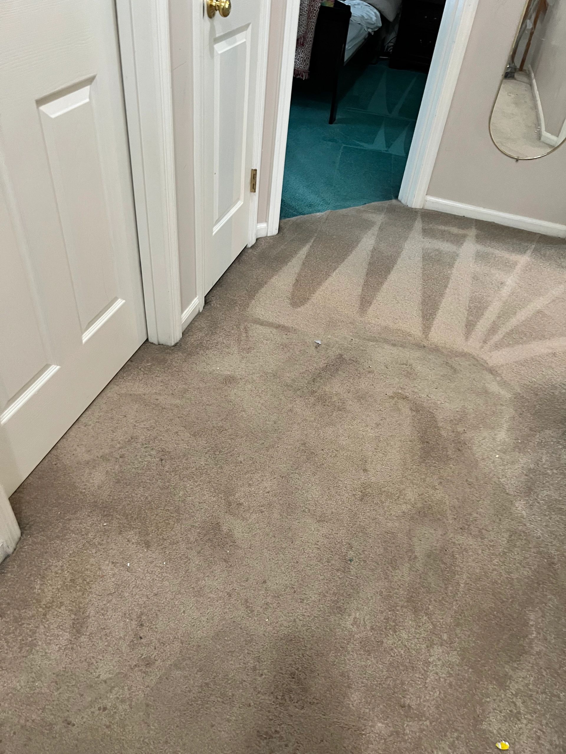 Gray Carpet