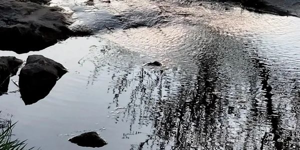 Reflection of trees in a calm water stream with rocks.