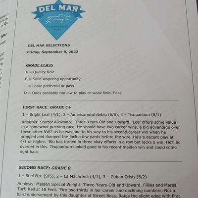 HorseRacing-selections.com full card handicap