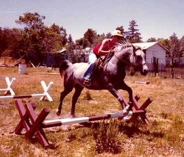 Author Melody Huttinger