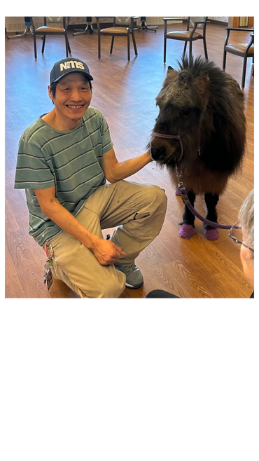 A man happily kneels beside a small, fluffy pony indoors.