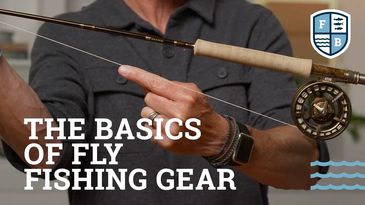 A person holding a fly fishing rod with the text 'The basics of fly fishing gear'.