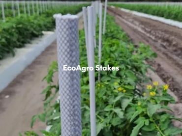 Fiberglass stakes, Fiberglass nursery stakes, Fiberglass tree stakes, Fiberglass stakes with UV veil