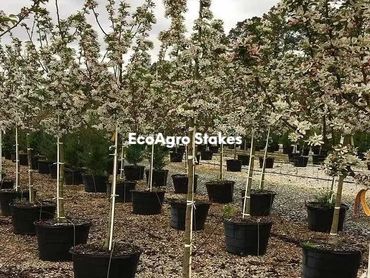 Fiberglass stakes, Fiberglass nursery stakes, Fiberglass tree stakes, Fiberglass plant stakes