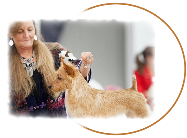 woman holding a golden puppy