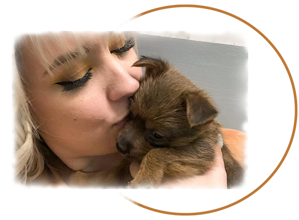 woman kissing puppy with love