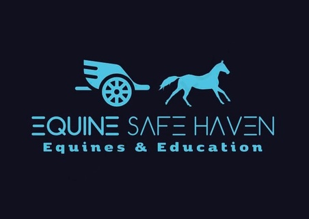 Equine safe haven