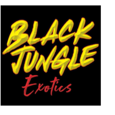 Black Jungle--Vending at American Frog Day 2024