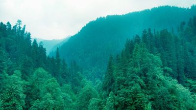 Tirthan Valley Himachal Pradesh jibhi ghiyagi