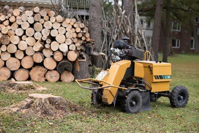 Tree Stump Solutions expert equipment safely removes stumps of all sizes in Northern Illinois.