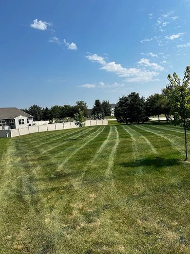 First time using a zero turn mower practicing on my yard!